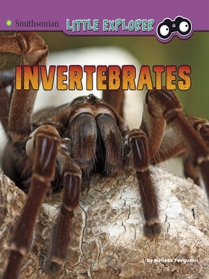 cover image of Invertebrates